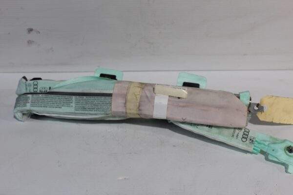 Audi 8V A3 S3 RS3 Curtain Airbag 8V5 880 741 D