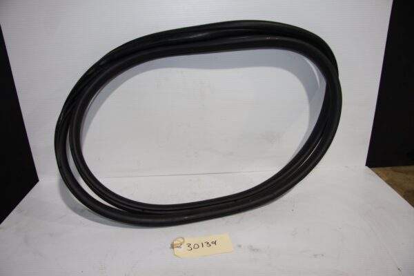 BMW F80 M3 Front Left Passenger Side Door Rubber Seal 7258312