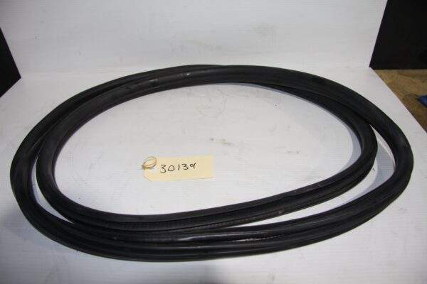 BMW F80 M3 Front Left Passenger Side Door Rubber Seal 7258312