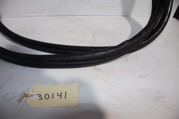 BMW F80 M3 Front Right Drivers Side Door Rubber Seal 7305837