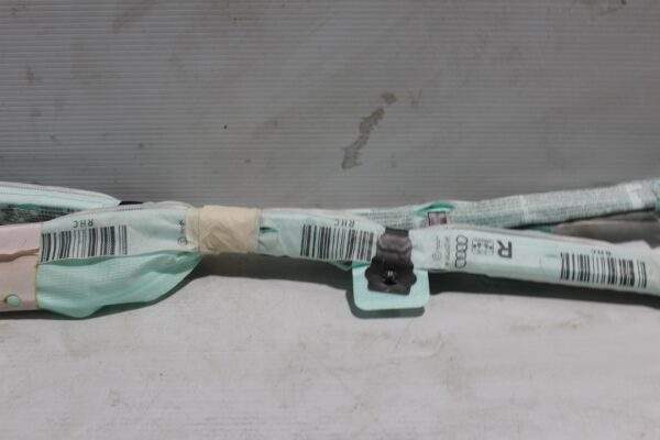 Audi 8V A3 S3 RS3 RH Curtain Airbag 8V5 880 742 D