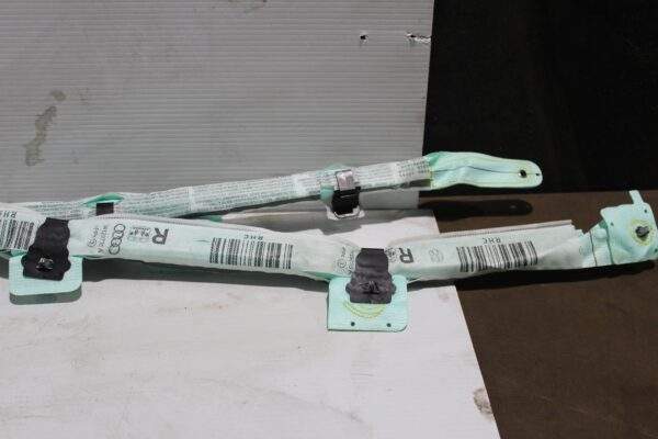 Audi 8V A3 S3 RS3 RH Curtain Airbag 8V5 880 742 D
