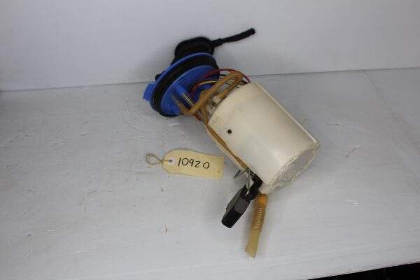 Audi RSQ3 In Tank Fuel Pump Delivery Assembly 83A 919 087