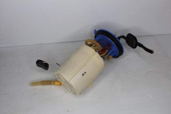 Audi RSQ3 In Tank Fuel Pump Delivery Assembly 83A 919 087