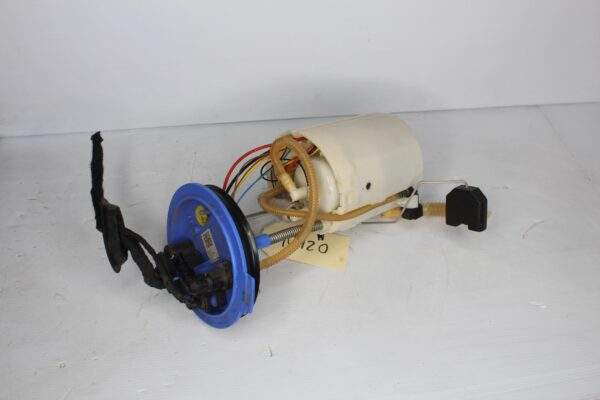Audi RSQ3 In Tank Fuel Pump Delivery Assembly 83A 919 087