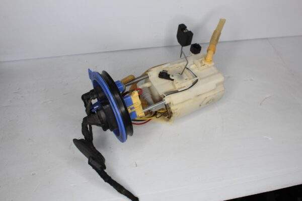 Audi RSQ3 In Tank Fuel Pump Delivery Assembly 83A 919 087