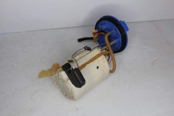 Audi RSQ3 In Tank Fuel Pump Delivery Assembly 83A 919 087