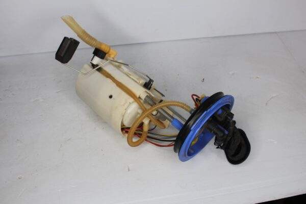 Audi RSQ3 In Tank Fuel Pump Delivery Assembly 83A 919 087