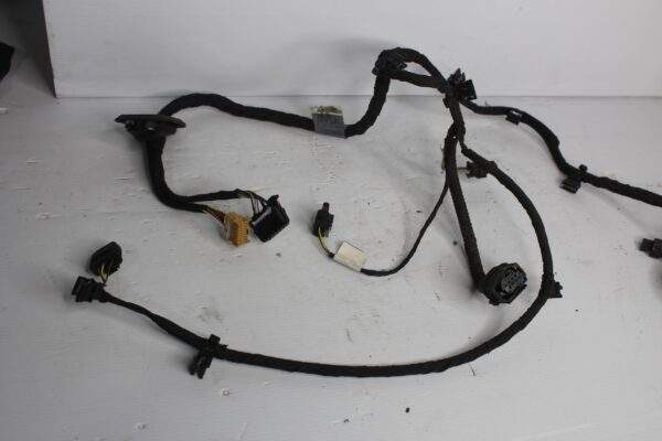 Audi FY Q5 Rear Bumper Parking Sensor Loom Harness 80A 971 104 K