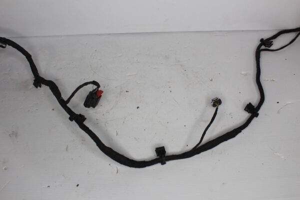 Audi FY Q5 Rear Bumper Parking Sensor Loom Harness 80A 971 104 K