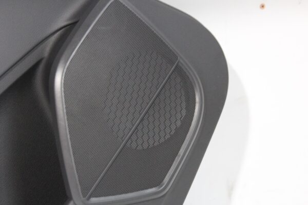 Audi FY Q5 Rear Interior Left Hand Side Door Card Trim 80A867103B