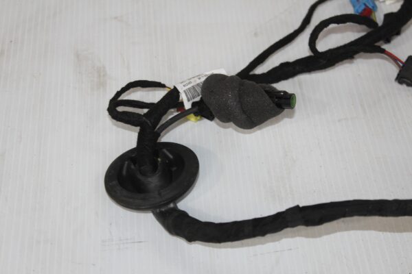 Audi F3 Q3 RSQ3 Front Left Door Wiring Harness 83A971030QL