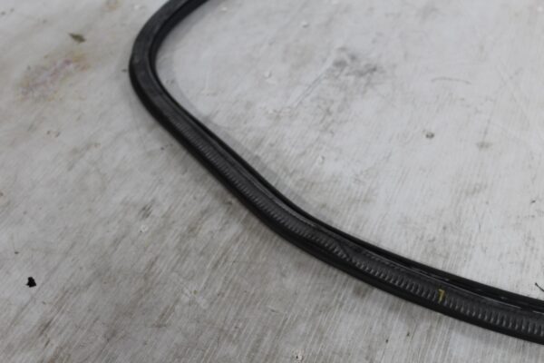 Audi 8v A3 S3 RS3 Rear Left or Right Door Seal 8V4833721C