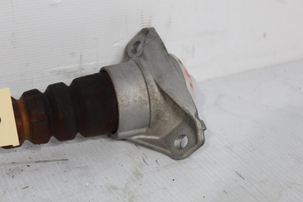 Audi FY Q5 SQ5 Gas Shock Absorber Strut 80A513035L