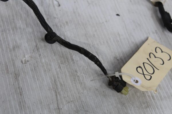 Range Rover Sport L494 Water Pump Wire LR076110, LR089627