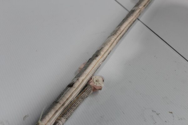 Porsche 955 957 Cayenne Right Divers Head Curtain Airbag 95580307002, 7L5880742E