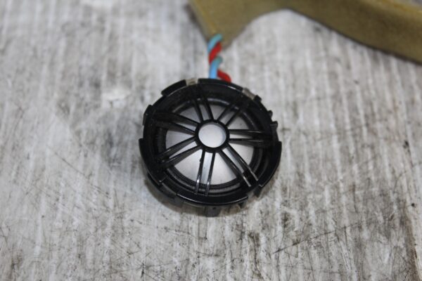 Range Rover Sport L494 Door Speaker Tweeter LR025875, BJ3218808AC