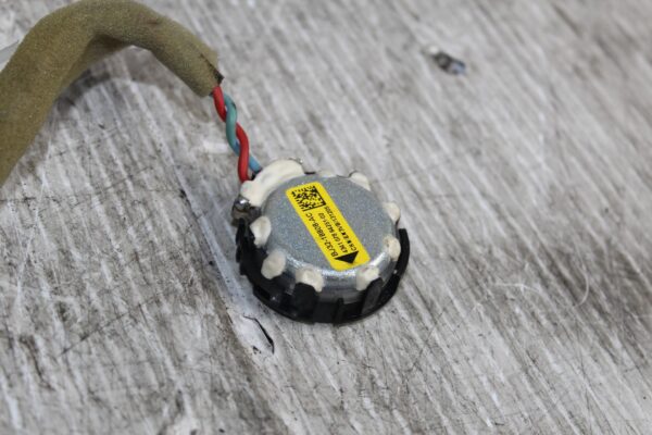 Range Rover Sport L494 Door Speaker Tweeter LR025875, BJ3218808AC