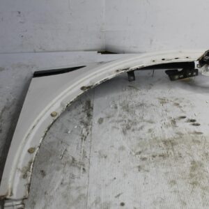 Land Rover L550 Discovery Sport RH Right Fender Wing Guard WHITE LR061383 - Image 4