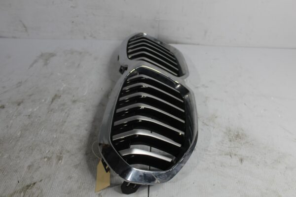 BMW F40 118i Front Radiator Bumper Bar Main Grille 51135A39367