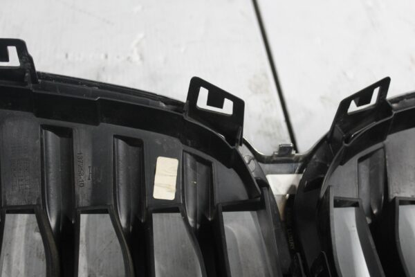 BMW F40 118i Front Radiator Bumper Bar Main Grille 51135A39367