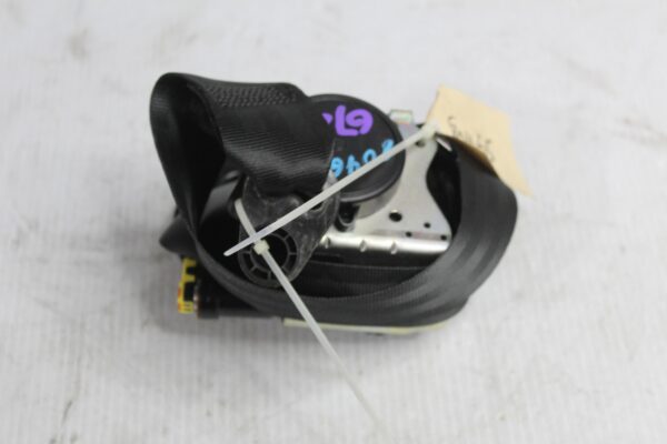 New Product 80465